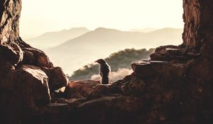 Preview wallpaper window, bird, mountains, light, nature