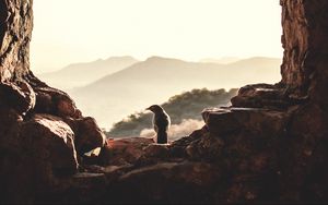 Preview wallpaper window, bird, mountains, light, nature