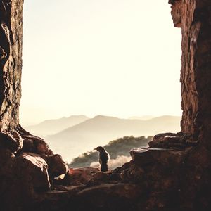 Preview wallpaper window, bird, mountains, light, nature