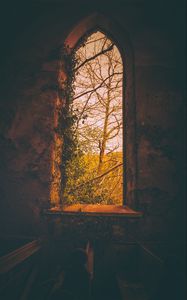 Preview wallpaper window, branches, dark