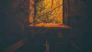 Preview wallpaper window, branches, dark