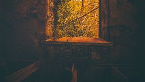 Preview wallpaper window, branches, dark