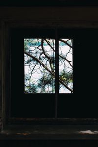Preview wallpaper window, branches, wooden