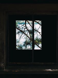 Preview wallpaper window, branches, wooden