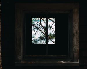 Preview wallpaper window, branches, wooden