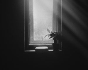 Preview wallpaper window, bw, window sill, silence