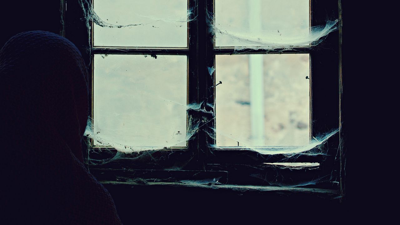 Wallpaper window, cobweb, loneliness, abandoned, alone, hopelessness