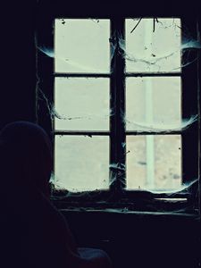 Preview wallpaper window, cobweb, loneliness, abandoned, alone, hopelessness