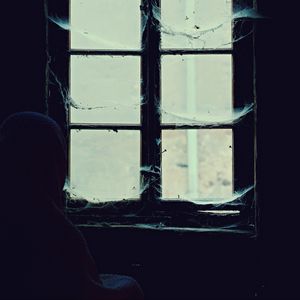 Preview wallpaper window, cobweb, loneliness, abandoned, alone, hopelessness