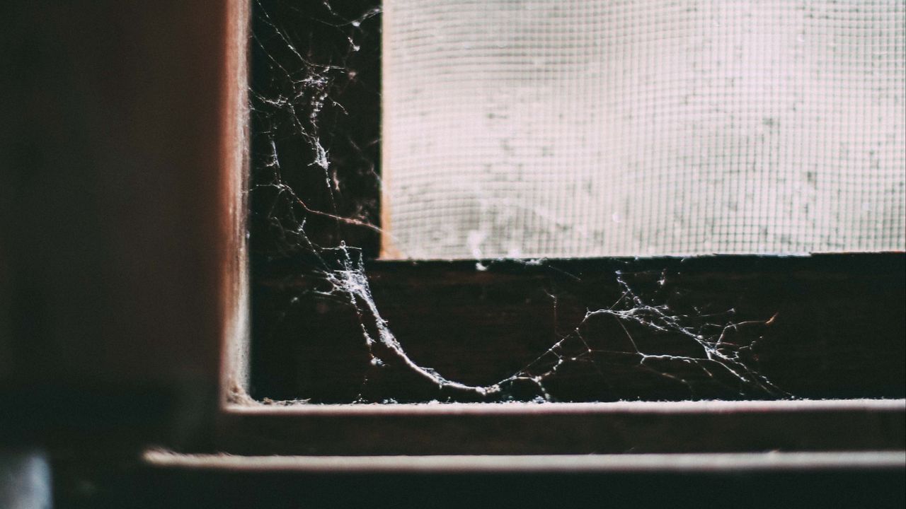 Wallpaper window, cobweb, macro, old, abandoned, dark