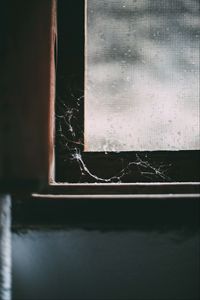 Preview wallpaper window, cobweb, macro, old, abandoned, dark