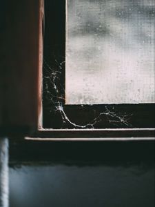 Preview wallpaper window, cobweb, macro, old, abandoned, dark