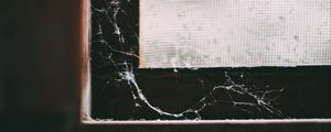 Preview wallpaper window, cobweb, macro, old, abandoned, dark
