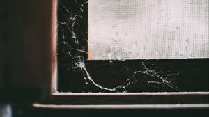 Preview wallpaper window, cobweb, macro, old, abandoned, dark
