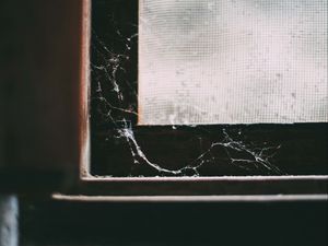 Preview wallpaper window, cobweb, macro, old, abandoned, dark