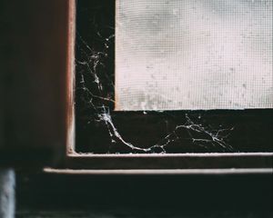 Preview wallpaper window, cobweb, macro, old, abandoned, dark