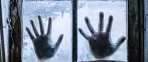 Preview wallpaper window, hands, palms, glass