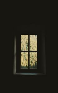 Preview wallpaper window, room, wall, trees, dark