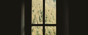 Preview wallpaper window, room, wall, trees, dark