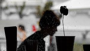 Preview wallpaper window, silhouette, dark, wet, rain