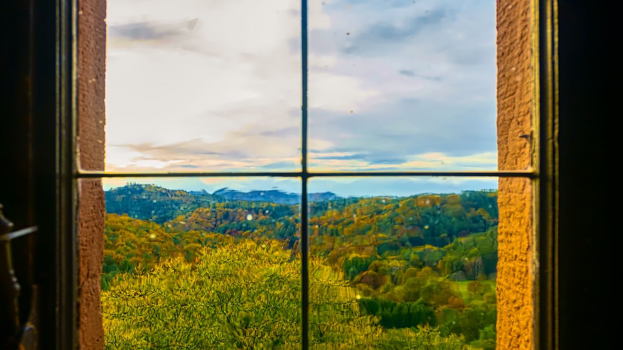 Wallpaper window, trees, view, autumn