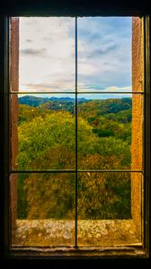 Preview wallpaper window, trees, view, autumn