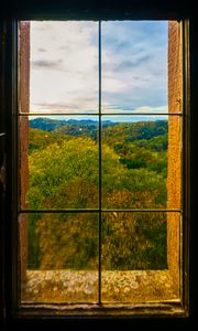 Preview wallpaper window, trees, view, autumn