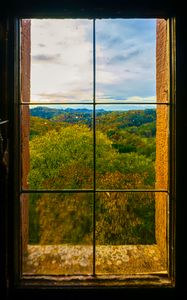 Preview wallpaper window, trees, view, autumn