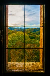 Preview wallpaper window, trees, view, autumn