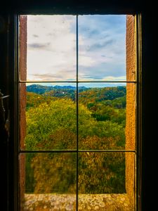 Preview wallpaper window, trees, view, autumn