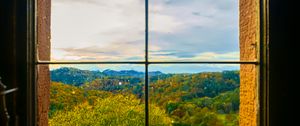 Preview wallpaper window, trees, view, autumn