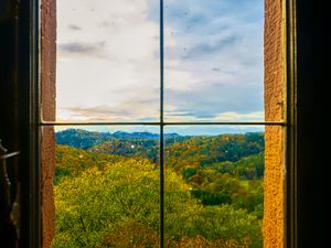 Preview wallpaper window, trees, view, autumn