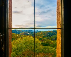 Preview wallpaper window, trees, view, autumn