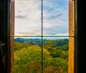 Preview wallpaper window, trees, view, autumn