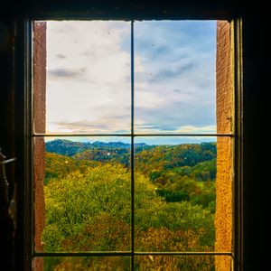 Preview wallpaper window, trees, view, autumn