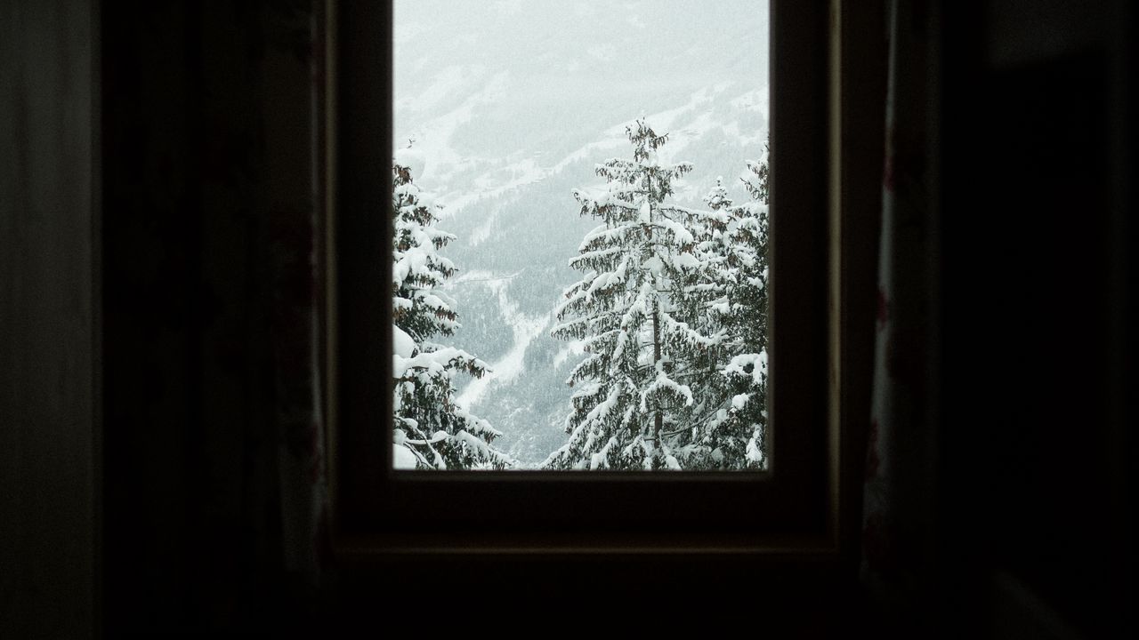 Wallpaper window, trees, winter, snowy