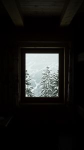 Preview wallpaper window, trees, winter, snowy