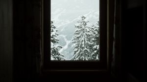 Preview wallpaper window, trees, winter, snowy