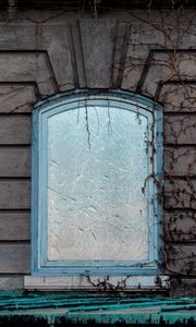 Preview wallpaper window, wall, branches, facade