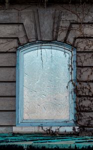 Preview wallpaper window, wall, branches, facade