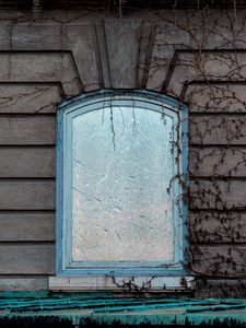 Preview wallpaper window, wall, branches, facade