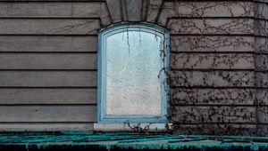 Preview wallpaper window, wall, branches, facade