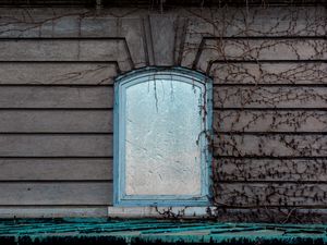 Preview wallpaper window, wall, branches, facade