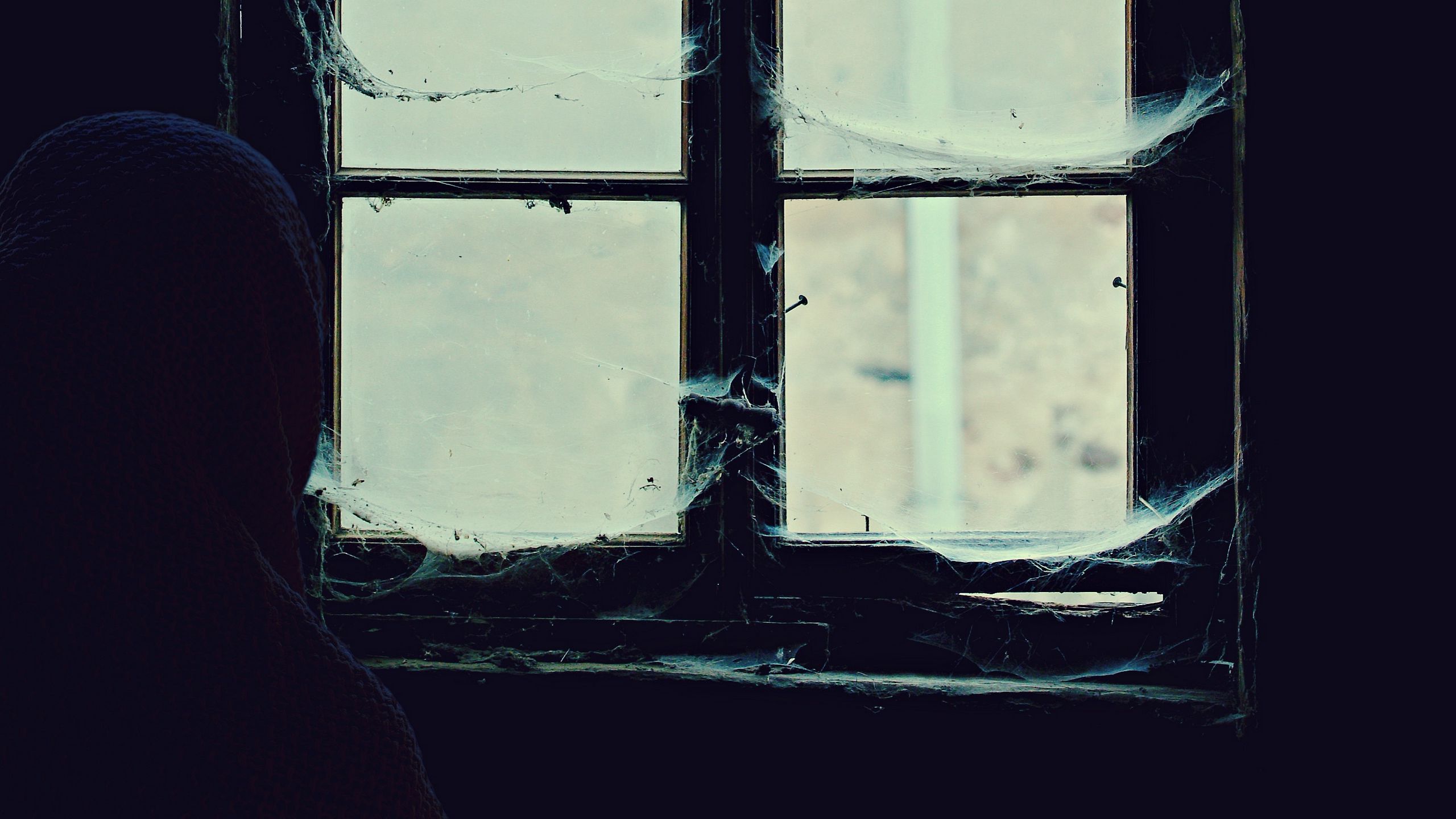 Download wallpaper 2560x1440 window, cobweb, loneliness, abandoned