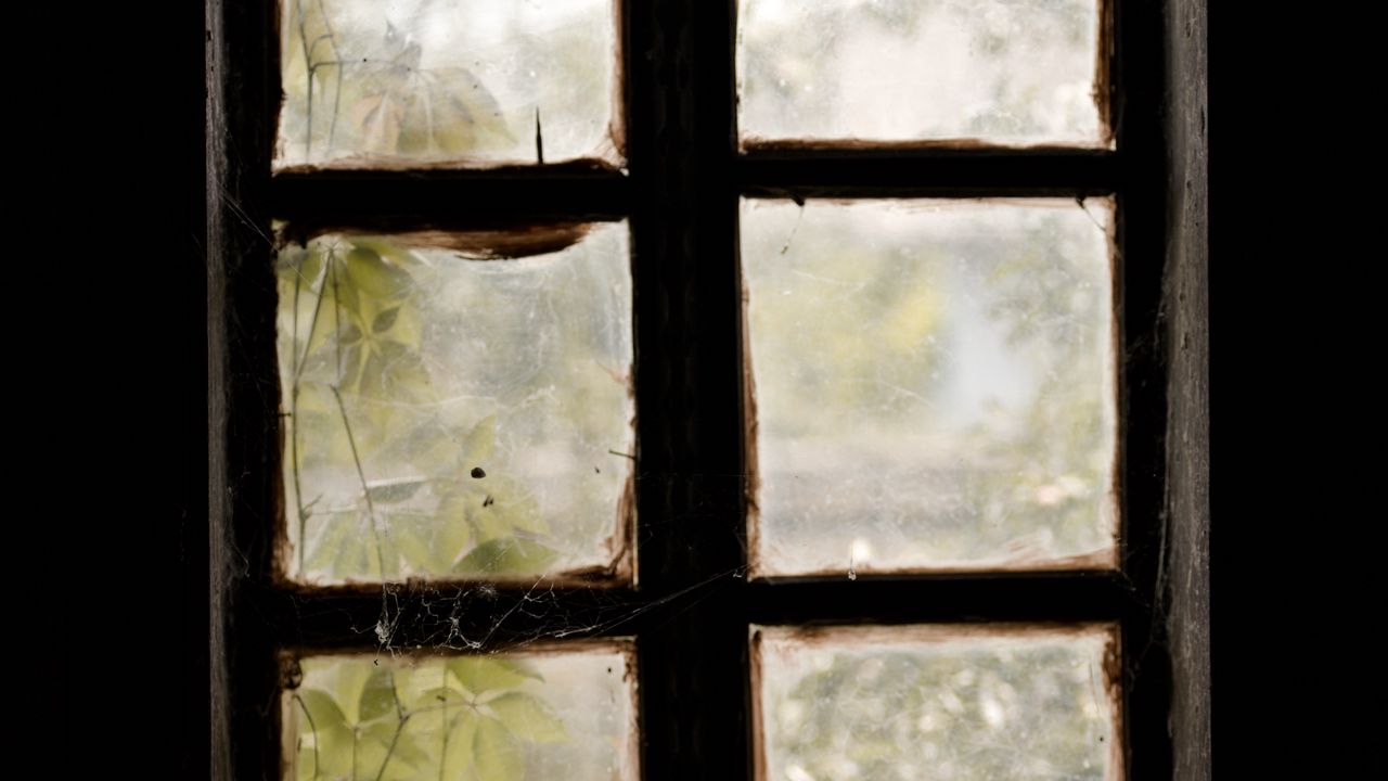 Wallpaper window, web, light, dark