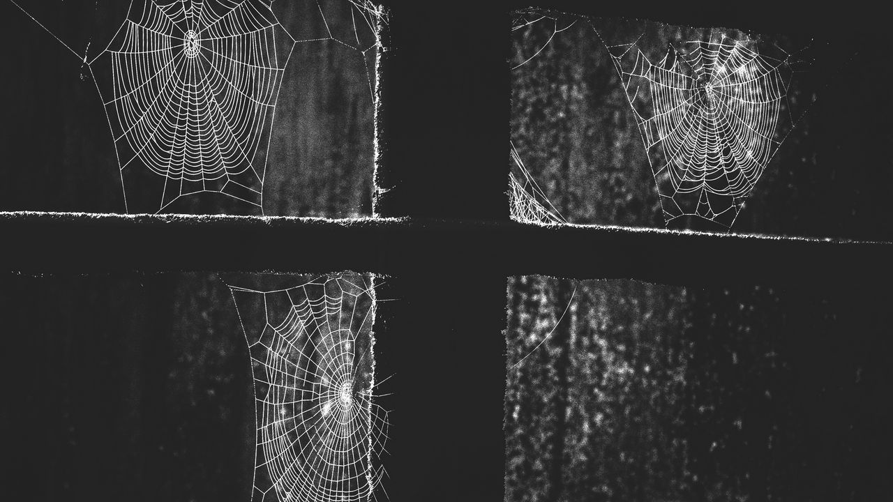 Wallpaper window, web, night, black
