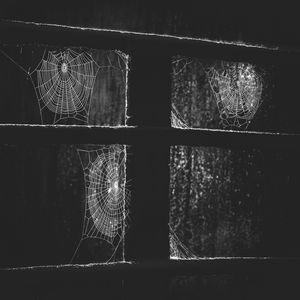 Preview wallpaper window, web, night, black