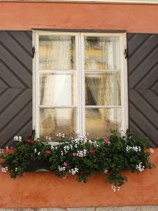 Preview wallpaper windows, flowers, facade, shutters