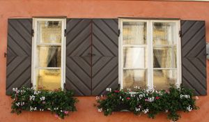 Preview wallpaper windows, flowers, facade, shutters