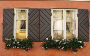 Preview wallpaper windows, flowers, facade, shutters